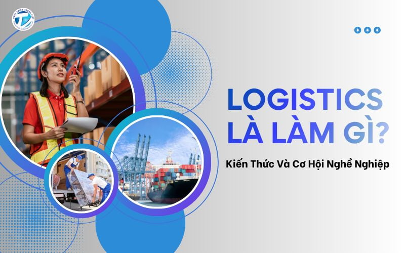Logistics Là Làm Gì? Kiến Thức Và Cơ Hội Nghề Nghiệp